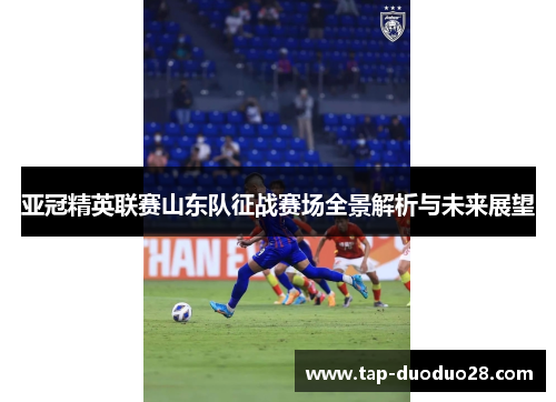 亚冠精英联赛山东队征战赛场全景解析与未来展望