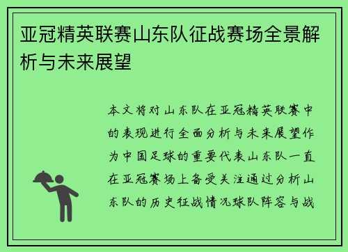 亚冠精英联赛山东队征战赛场全景解析与未来展望